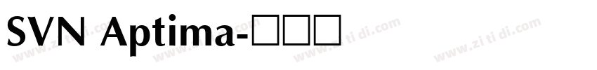 SVN Aptima字体转换